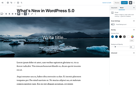 新的 WordPress 编辑器名为 Gutenberg 块编辑器